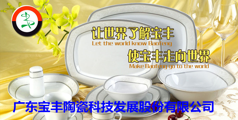 廣東寶豐陶瓷科技發(fā)展股份有限公司成立于2003年，占地總面積5萬(wàn)平方米，建筑面積3萬(wàn)平方米，2004年10月建成投產(chǎn)?，F(xiàn)擁有兩條先進(jìn)遂道窯生產(chǎn)線(xiàn),主要生產(chǎn)中高檔日用陶瓷，產(chǎn)品遠(yuǎn)銷(xiāo)歐美，東南亞等國(guó)家。